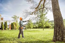 Berne, IN Tree Services Company