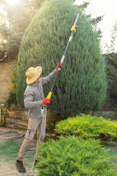 Best Commercial Tree Services  in Berne, IN